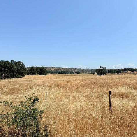 Placer county