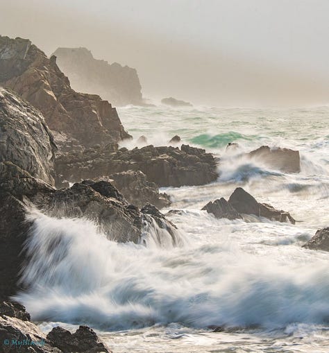 Wild & Serene, coasts and beaches of Guernsey: Storm Eunice at Petit Bot Bay; sunset at Petit Bot Bay; Herring gulls on the Guernsey south coast. Photos by Peter Tiffin