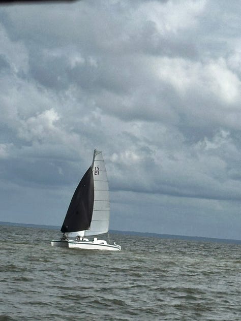 Catamaran sailboats on the bay