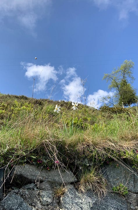 Weather in Northern Italy after the heavy rains of the last month