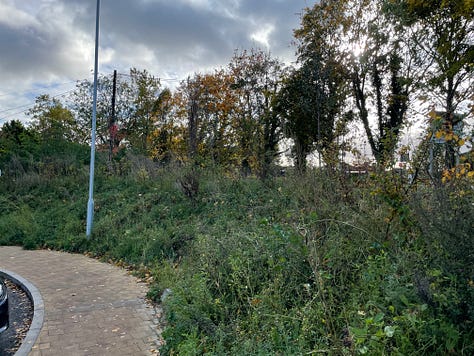 Trees, hedges, and plants on roads and at stations