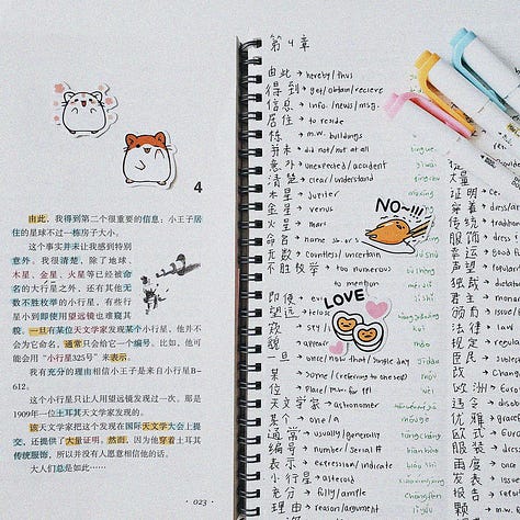 Notebooks with vocabulary and sentences in Mandarin Chinese, Cantonese and Japanese