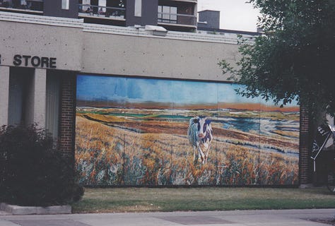 Pictures of murals on some walls in Calgary.