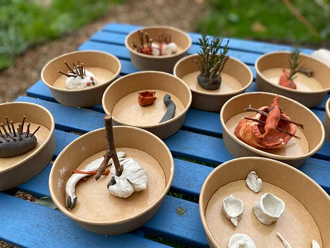 craft table with clay and natural materials, face painting and flower bulbs to plant