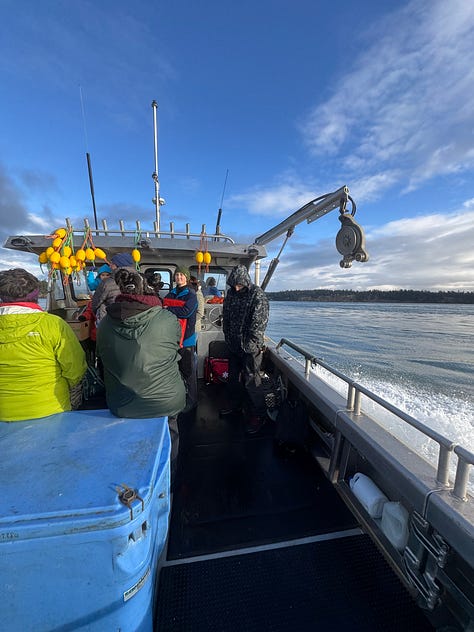 Photos from the dive boat, and octopus relased underwater from yellow dive bag