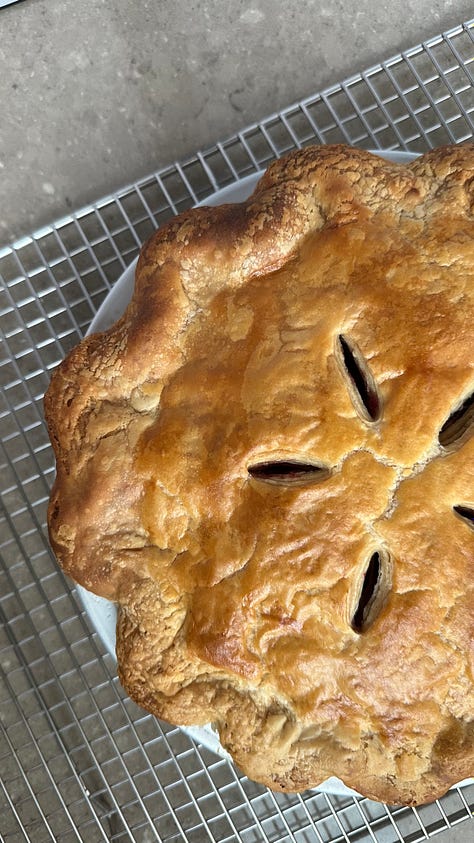 Image of Montmorency Cherry Pie Filling, Pre-Baked Filled Pie, and Fully Baked Cherry Pie