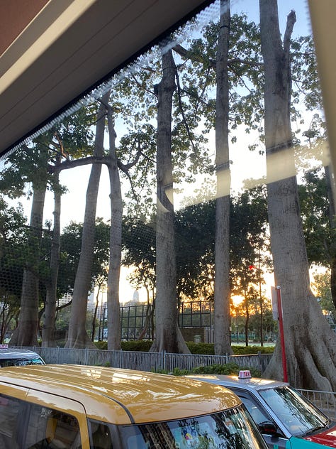 Lovely photos of commuting. My grandma walking with her friend with matching clothes, sunset outside the bus, and gorgeous scenery visible from the Airport Express