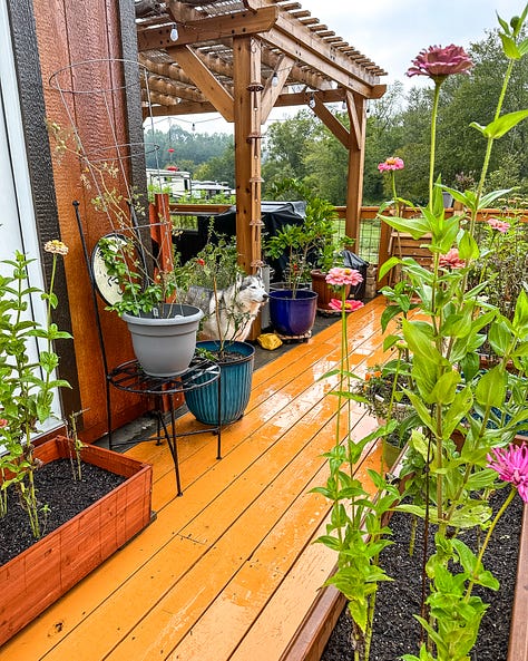 A few of our patio zones: Dining, Lounge, Zen, Plants