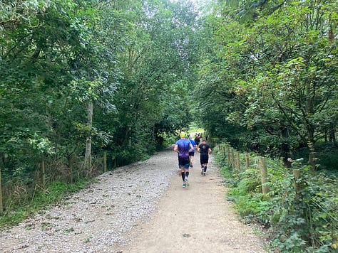 Running through different tree-lined paths