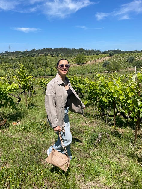 Baga vineyards Giz by Luis Gomes