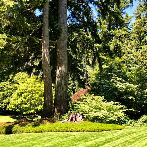 Gardens around Mid Pond, the Residence, and looking over the Bluff to the Salish Sea.