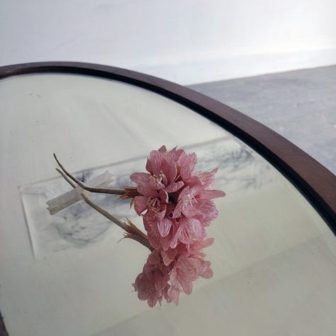 Images of artworks in a dilapidated room, plaster and lath crumbling away from the walls, and artist hanging her work on the wall, a pink flower artfully placed on a mirror and photographed to show reflections of other artworks in the mirrored glass