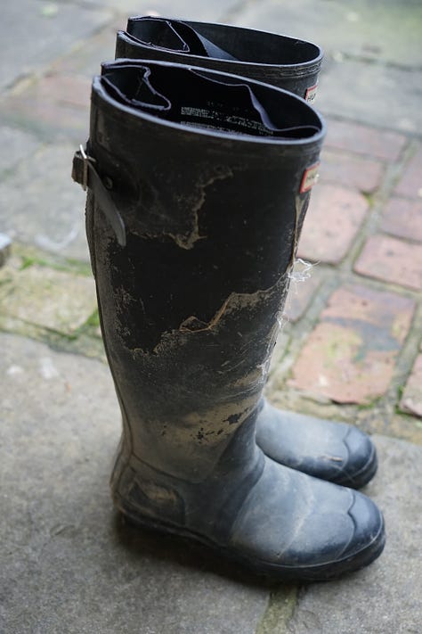 Wellington boots