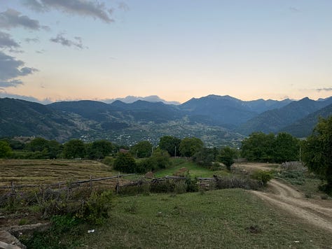 In Dgvar valley, among the cows