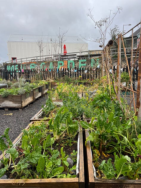 The Mobile Garden in Hackney Bridge, with planters and various crops, a polytunnel and signage saying "ALL WELCOME"