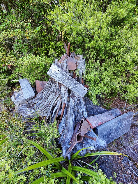 Various images from Wangapeka hiking route between Wangapeka Saddle and Taipō Hut