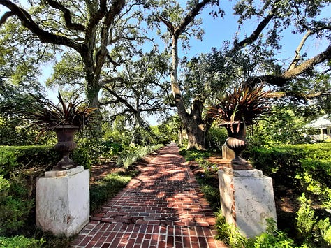 Scenes from the gardens and yard of the Houmas House including a pond sculpture of a crane, the pillars of the front porch with a peacock, and large old live oak trees.