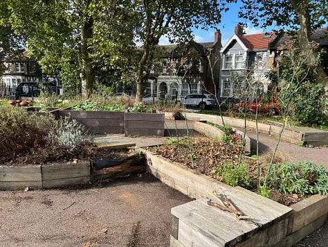 Progress photos of clearing the play park planters