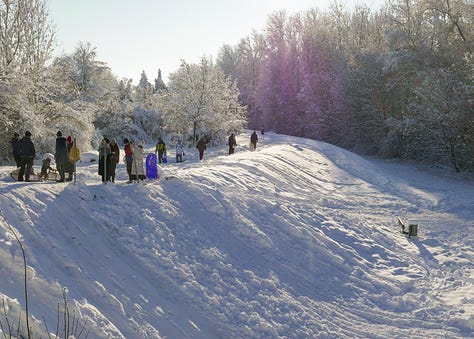 Snowy photos of the German town of Freising, with trees covered in snow and people sledging