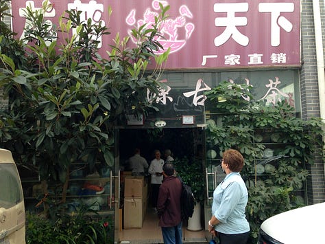 Kangle Wholesale Tea Market in Kunming