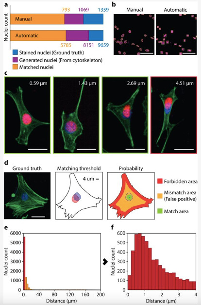 SUTD Researchers Unravel Cell Biology Through Artificial Intelligence