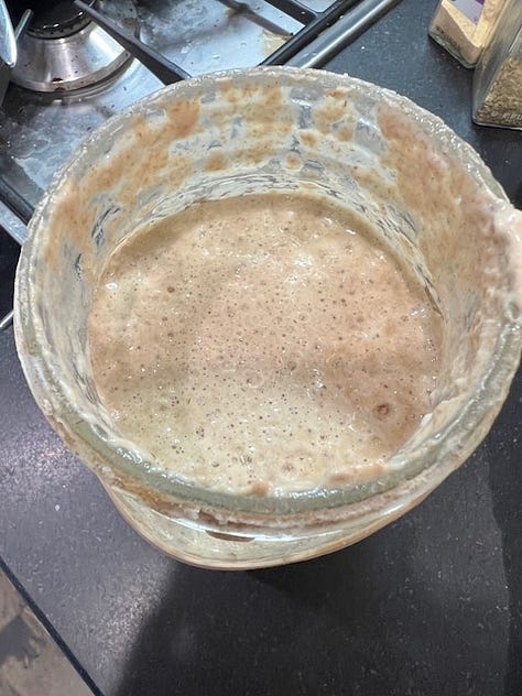 sourdough starter in a jar