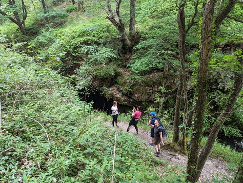 guided walk in the waterfalls area of the brecon beacons national park