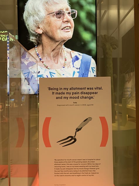 A range of gallery artefacts and notes from the Science Museum's Cancer Revolution exhibition