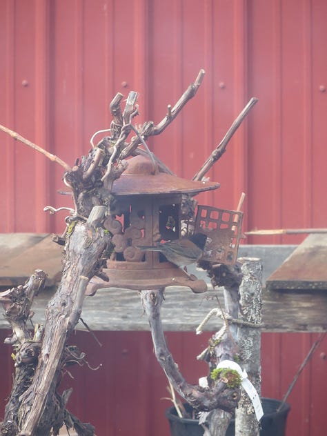 Chickadees discover the bird feeder
