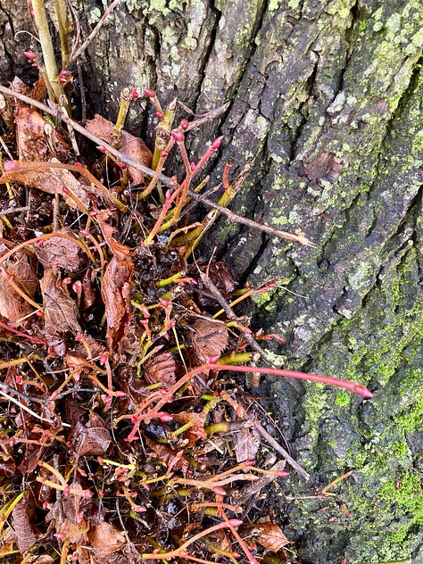 Photos of architectural details, textures and frosty nature