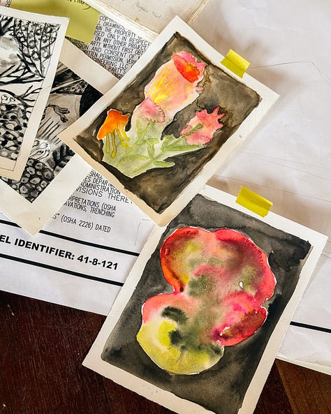 Book, watercolour plants, dog art