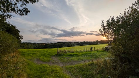 photos of narrow rural lanes in Devon