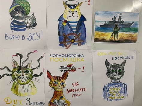 mages of hand-made pro-Ukraine wall posters featuring cats at a community help center in Dnipro, Ukraine.