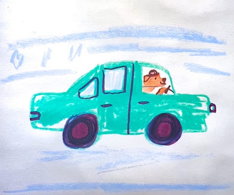 illustrations of dogs driving, ice skating, and skiing by Beth Spencer