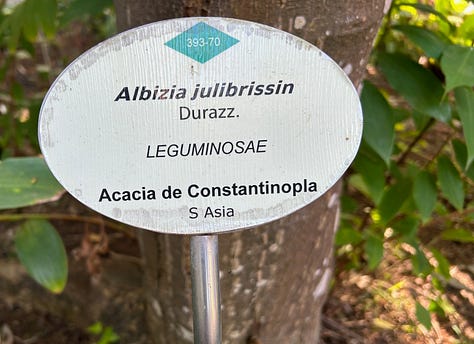 Labels and walkways in the Jardín de Aclimatación de la Orotava on Tenerife