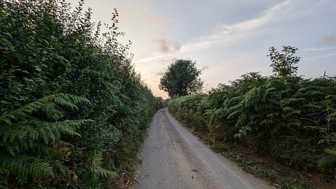 photos of narrow rural lanes in Devon