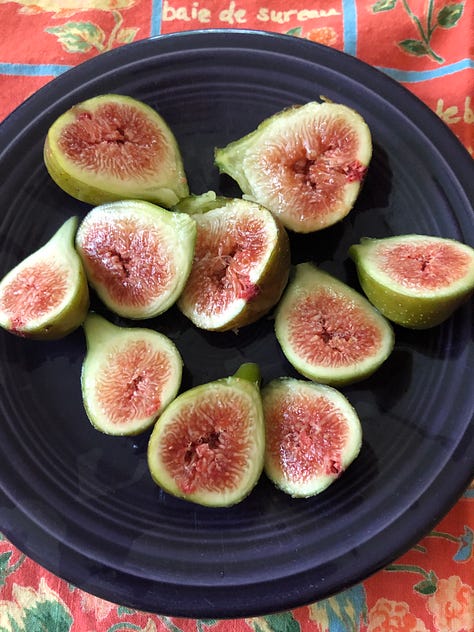 Os figos do quintal e a colheita de um dia