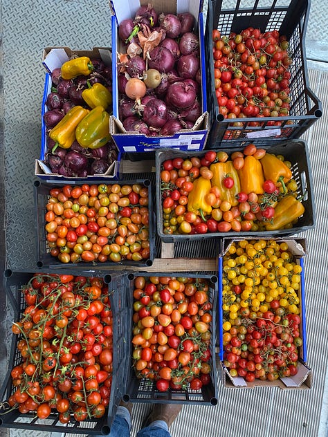 surplus produce for our community kitchen in Sicily