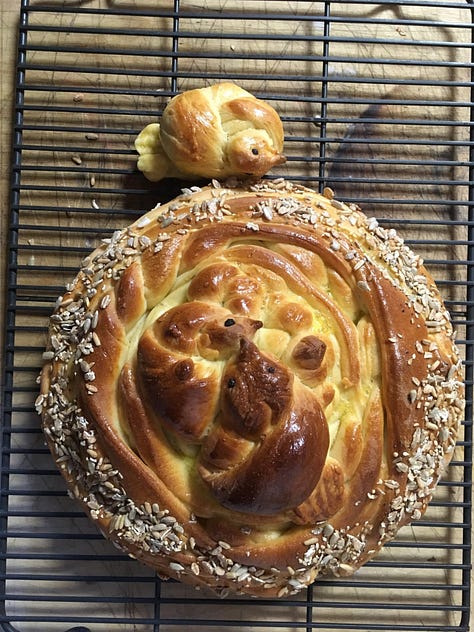 Several photos of challah that I’ve made for Shabbat Shirah in the shape of birds in a nest.