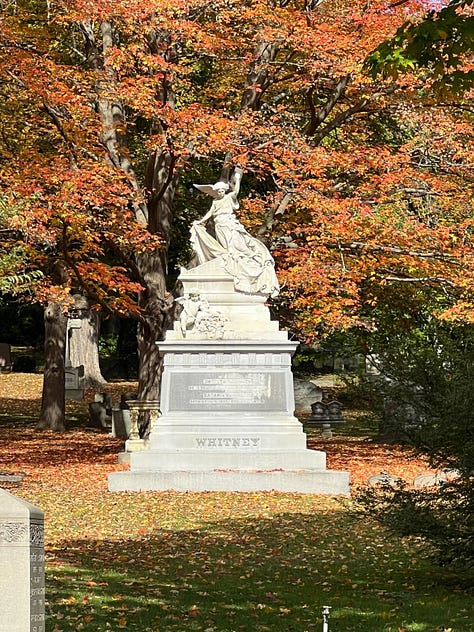 Colorful autumn trees in a cemetery, and an image of two turkeys who live there.