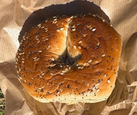 Different looks at the Beigel Bake seeded bagel