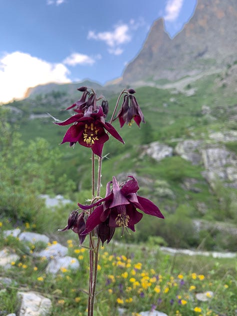 Outdoors and Hiking near Stroppia waterfalls, Piedmont, Italy