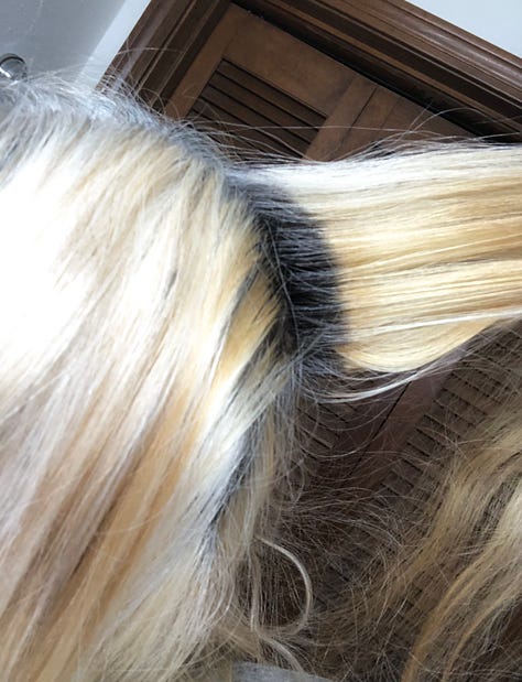 The author getting ready to re-dye and re-bleach her hair in sea-blues, pulls up the back of her hair where it's still brunette, in contrast to the silver roots on the top and sides of her head.