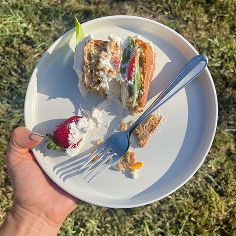 Slice of cake and strawberry shortcake