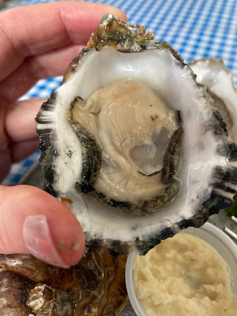 Inside Emmett's Oyster Bar in Seattle. Blue and white checkered table cloths, oysters, interior signage, and a sleeping dog. 