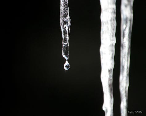 A gallery of images features three winter prints: stacked snowflakes, icicles, and a winter bubble.