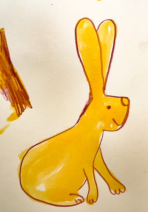 sketches of rabbits and foxes by Beth Spencer
