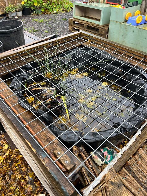 The Mobile Garden in Hackney Bridge, with planters and various crops, a polytunnel and signage saying "ALL WELCOME"