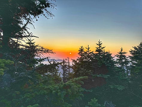 From the tops of Mts Mansfield and Abraham and Camel's Hump