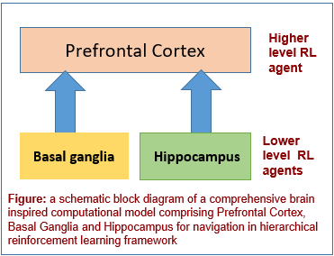 A Comprehensive Brain-inspired Computational Model for Spatial Navigation